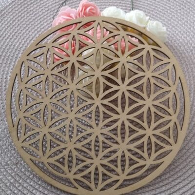 Fleur de Vie en 20 cm -« Amplifiez l’énergie de vos cristaux et bijoux naturels avec ce symbole de géométrie sacrée. »